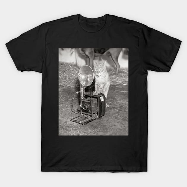 Cat with a Camera, 1936. Vintage Photo T-Shirt by historyphoto